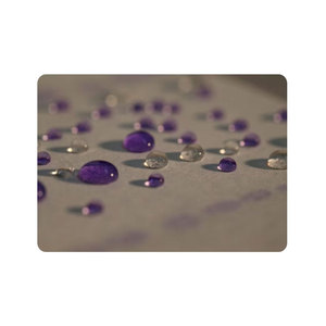 Nano Glass Coating Paint Protection for Cars Hydrophobic Self Cleaning Shield High Gloss Scratch Resistant Formula - Product Image 6