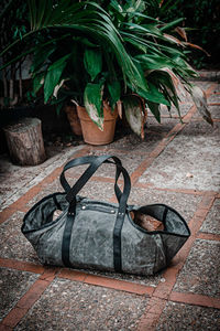 Porta leños de cuero para leña, accesorios para chimenea, soporte para leños de madera, portaleños de cuero - Product Image 5