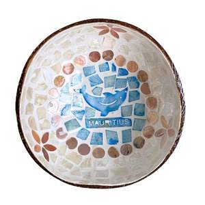 Meilleures ventes de bols en noix de coco de Maurice en gros, bols en noix de coco nacre, usine du Vietnam, prix compétitifs, couleur personnalisée - Product Image 1