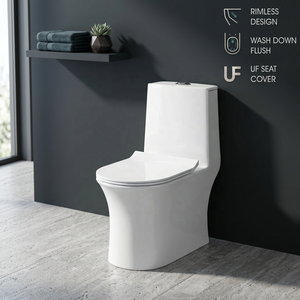 Inodoro de Cerámica de Una Pieza con Asiento y Lavabo a Juego para Baños Africanos - Product Image 2