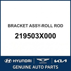 Elantra Nuevas Piezas y Accesorios para Autos y Camiones 219503X000 - Product Image 1