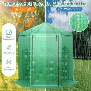 Invernadero Agrícola Hexagonal con Cubierta de PE y Estructura Metálica, Color Verde - Product Image 2