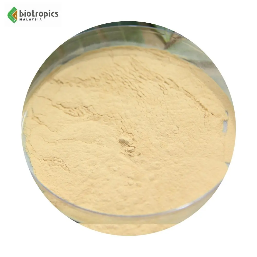 Natural Product 100% Root Malaysia Tongkat Ali Powder Extract Physta Ingredient for Energy & Health