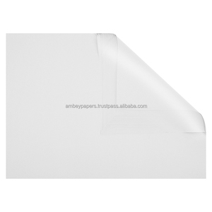 Rollo de Papel Blanco Biodegradable con Recubrimiento Especial |   Papel de Alta Calidad con Recubrimiento de una Cara para Impresión y Empaquetado - Product Image 6