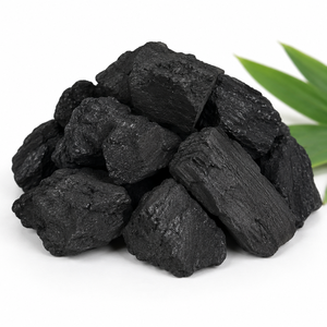 Carbón vegetal natural en trozos - Product Image 1