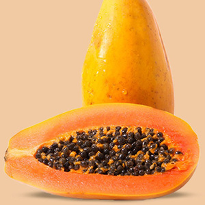 Papaya Roja Fresca, Directo de Granja, Precio Económico en Venta - Product Image 3