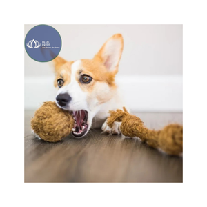 Jouet à mâcher durable en sisal pour petits chiens, jeu d'intérieur, design mignon, nœuds de corde naturelle, jouet pour animaux de compagnie - Product Image 1