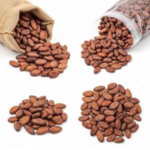 Suministro Directo de Granos de Cacao a Granel, Granos de Cacao Naturales Ideales para Recetas de Chocolate y Preparación de Dulces - Product Image 5