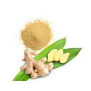 Fine Ground <b>Ginger</b> Powder Made from <b>Fresh</b> Vietnamese <b>Ginger</b> for Beverage and Food Applications - Product Image 1
