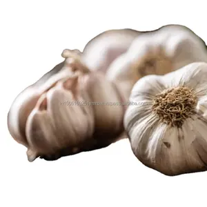 New Season Chinese Low Price Fresh White Wholesale Normal Purple Garlic