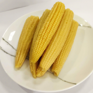 Maïs bébé pelé entier de qualité supérieure du Vietnam Maïs bébé en conserve aromatisé et sucré dans de l'eau préservée en saumure - Product Image 5