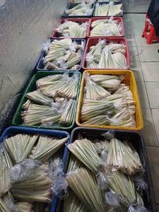 Hierba de limón congelada prepicada IQF entera y en rodajas de hierba de limón verduras congeladas recién para sopa de Vietnam - Product Image 5
