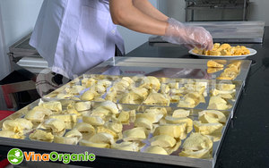 Durian séché en tranches FD en gros du Vietnam, emballage en vrac avec sirop, échantillon OEM disponible - Product Image 6