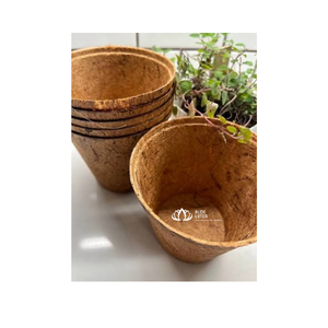 Maceta Biodegradable de Fibra de Coco para Cultivo de Plántulas en Viveros y Exportación - Product Image 1