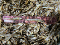 Anchois séchés en gros du Vietnam, sprats séchés de haute qualité / Mme Lima