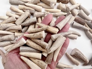 Botones de hueso ecológicos, botones de búfalo grabados a medida, botones de hueso natural, botones de ángel tallados al por mayor - Product Image 4