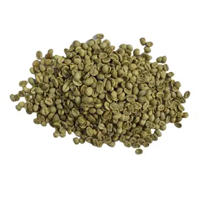 Grano de café verde de grado superior de calidad superior Vietnam Original mejor precio 100% grano de café verde puro Natural Venta caliente