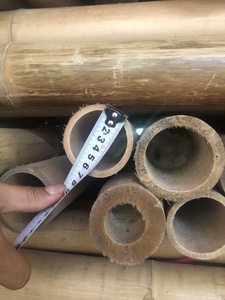 Poteaux en bambou doré du Vietnam, paquet de 1 à 10 m de long, solides et épais, pour l'agriculture, la construction et la décoration intérieure - Product Image 2