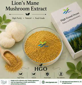 Hgo สารสกัดจากเห็ดแผงคอสิงโตธรรมชาติบริสุทธิ์ (เกรดอาหาร) ข้อมูลจำเพาะ5:1 (สารสกัดจากอัตราส่วน) - Product Image 1