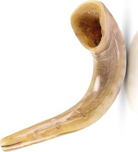 Cuerno de Shofar Natural, Económico, Hecho a Mano, Cuerno Religioso Judío para Oración, Rituales, Adoración y Práctica Espiritual - Product Image 3