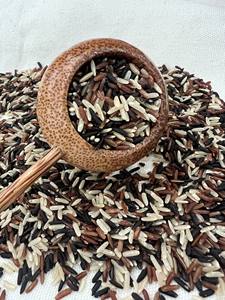 Riz noir vietnamien sain Arroz negro saludable Noir sucré/glutineux/ collant Vente en gros en vrac LINDA WS +84393250278 - Product Image 6