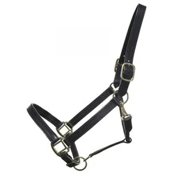 High Quality Customized Hand Made Durable Hybrid Adjustable Brown Leather Horse <b>Halter</b> at Wholesale Manufacture - Product Image 2