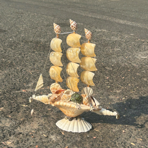 Vietnam Mix Seashell For Professional Photography Props And Creating Savory Traditional Ocean Sets 99 Gold Data Co - Product Image 3