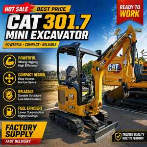 ¡GRANDES AHORROS! Miniexcavadora 301-7 para EE. UU., UE, Australia, Canadá, con giro de cola cero, engrasado rápido y alto valor de reventa. ¡ÚLTIMO MODELO! - Product Image 1