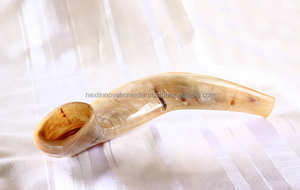 Sobresaliente Kosher Kudu Shofar de Israel Clásico Medio Pulido Cuerno Tallado Ángel Estilo Religioso - Product Image 4