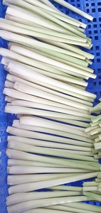 IQF <b>Frozen</b> LEMONGRASS- SLICED LemonGrass/ CHOPPED Lemongrass for Export <b>Frozen</b> <b>Vegetables</b> Product - SUPPLIER VIETNAM/ Ms. Selina - Product Image 6