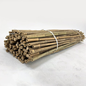 Vietnam supplier eco-friendly materials for <b>gardening</b> natural bamboo pole sticks raw <b>cane</b> poles - Product Image 2