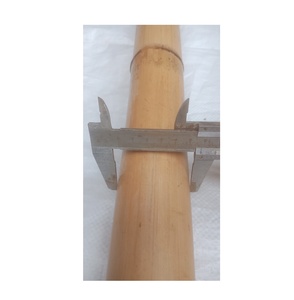 Pôles de bambou brut de source vietnamienne pour la fabrication de meubles durables et les systèmes de soutien des plantes agricoles, aménagement paysager robuste du jardin - Product Image 6
