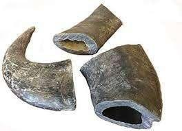 Alimento Seco Premium para Perros, Hecho con Cuerno de Búfalo, Sin Granos, Alto en Proteínas, para Gatitos, Cachorros y Peces, Suministros para Mascotas Pequeñas - Product Image 2