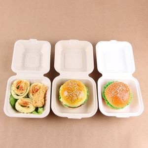 Boîte à lunch jetable haut de gamme 6x6 pouces en bagasse, conteneur à clapet pour restaurants et services de traiteur, conteneur de stockage alimentaire - Product Image 1