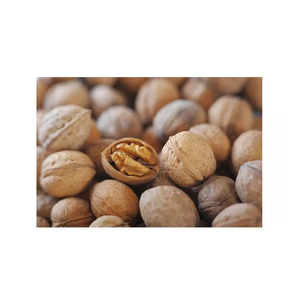 Noix de Grenoble Fraîches de Qualité Supérieure – Vente en Gros à Prix Réduit – Collation Saine – Prix Abordable – Grade A – Origine USA – Noix Sèches Naturelles - Product Image 3