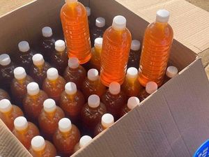 Wholesale Pure Honeycomb & Honey Bottles | Bulk Natural Honey Supply | Export Quality from Vietnam - Ms.Tarina - Product Image 5
