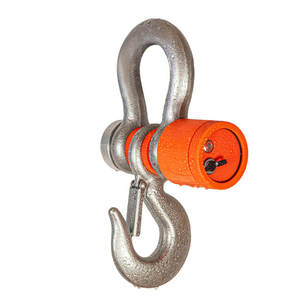 Accurex C6 - Bilancia a ponte wireless per pesatura all'aperto e a lunga distanza - Product Image 2