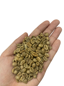 เมล็ดกาแฟเขียว อาราบิก้าเวียดนาม เกรด AA สำหรับการชงและคั่ว (ELLY - WA +84 829 526 179) - Product Image 1