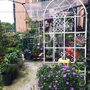 Confezione da 2 pezzi bianco crema 71 \ "X 19.7 \" metallo traliccio da giardino a prova di ruggine supporto per recinzione e cancello per fiori da esterno - Product Image 5