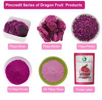 Pincredit Fabrieks Prijs Groothandel 10KG Doos Rode Gedroogde Pitaya FD Dragon Fruit Chips