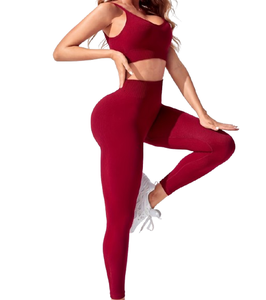 Conjunto Deportivo de Una Pieza para Mujer, Ropa de Yoga de Alta Elasticidad, Ropa de Gimnasio, Talla Grande, Bra y Pantalones de Yoga Sexys para Mujer - Product Image 1