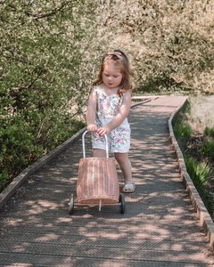 Rattan Trolley wholesale eco-friendly rattan baskets made in Vietnam with immediate delivery ready to ship - Product Image 5