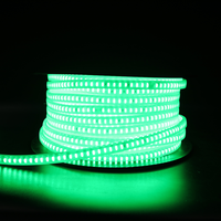 Nanoco Outdoor Led Strip 120 Chip Led IP65-2 Lijnen Smd 2835- 8W-Top 1 Landschapsverlichting In Vietnam
