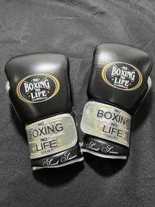 Gants de boxe personnalisables No Boxing No Life - Cuir de vachette de haute qualité, rembourrage épais à 4 couches, fermeture à lacets, respirants, MMA - Product Image 4