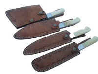 Ensemble de couteaux de chef en acier Damas écologique de haute qualité, 4 pièces, dureté 58-60HRC, manches en os, marque Rajput, pour les détaillants