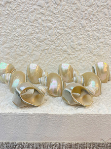 Anillo para Servilletas Hecho a Mano en Vietnam con Diseño de Caracol y Concha Marina, para Decoración de Mesa con Temática Oceánica en Hoteles y Banquetes - Product Image 5
