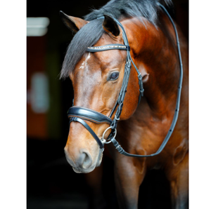 En gros, Bridon et rênes en cuir de cheval fait main de qualité supérieure, durables et confortables, pour l'équitation et l'entraînement, Noir Cob 2x1.5x2m - Product Image 1