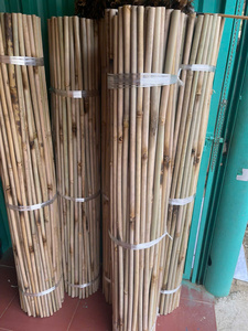 Vietnam Bamboo <b>Pole</b> <b>Garden</b> Stakes Natural Plant Support Sticks <b>for</b> Farming Landscaping and Nursery - Product Image 4