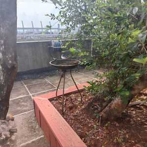 Black Wrought Iron Scrollwork <b>Bird</b> Bath Pedestal <b>Stand</b> Large Metal Water Basin Outdoor Garden Terrace Birdbath Spa Feeder - Product Image 3