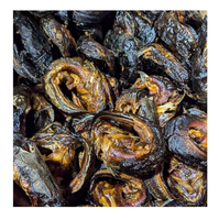 Vente en gros de poisson-chat fumé sec biologique de qualité supérieure, faible en gras, en vrac pour importateurs et distributeurs